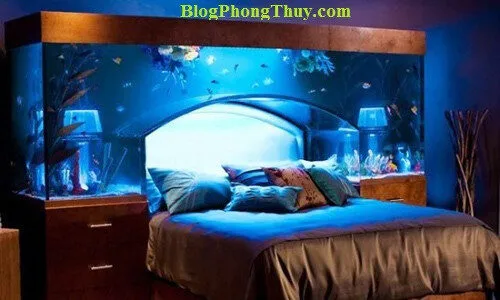 Trong phòng ngủ tại sao kiêng kỵ đặt bể cá?