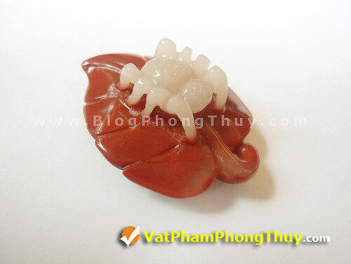 Đặc tính không thể lầm lẫn của nhện đó là khả năng nhả tơ