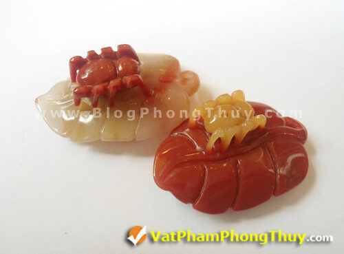 Hình tượng nhện trên lá là biểu tượng của sự tốt lành nhân đôi