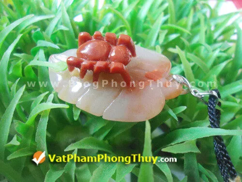 Nhện Phong Thủy, biểu tượng may mắn trọn vẹn về tài lộc và tình duyên