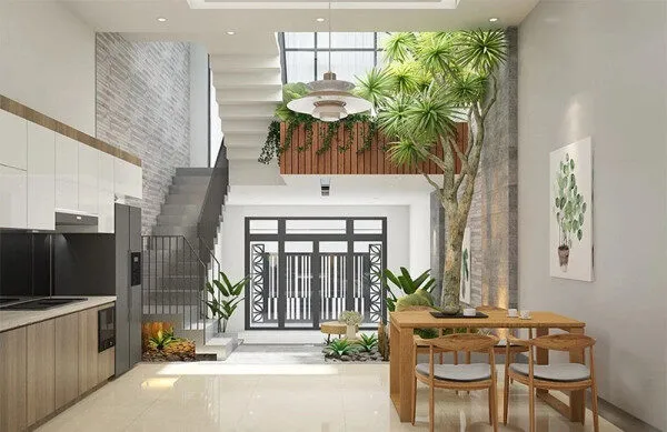 Cây trồng trong nhà: 49+ mẫu cây trong nhà mang tài lộc hợp phong thuỷ