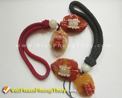 Việc mang nhện bên mình đã có từ rất xa xưa nhưng ít phổ biến